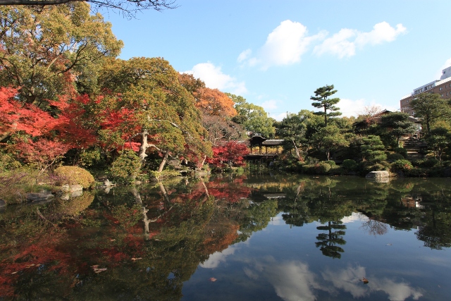 11月1日~3日 秋の渉成園特別公開で「親鸞」を特別展示