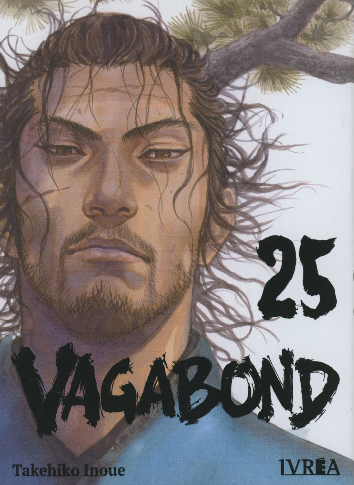 VAGABOND Vol.25